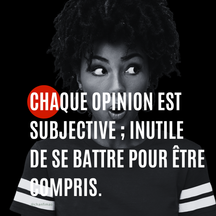 Chaque opinion est subjective ; inutile de se battre pour être compris.