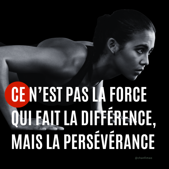 Citation : Ce n’est pas la force qui fait la différence, mais la persévérance.