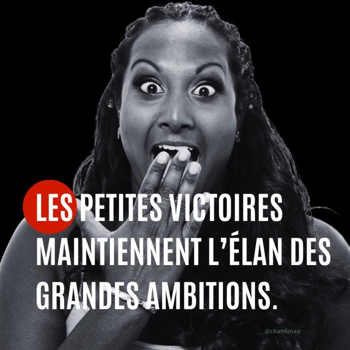 Citation : Les petites victoires maintiennent l’élan des grandes ambitions.