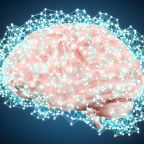 Souveraineté cognitive : du diagnostic aux orientations