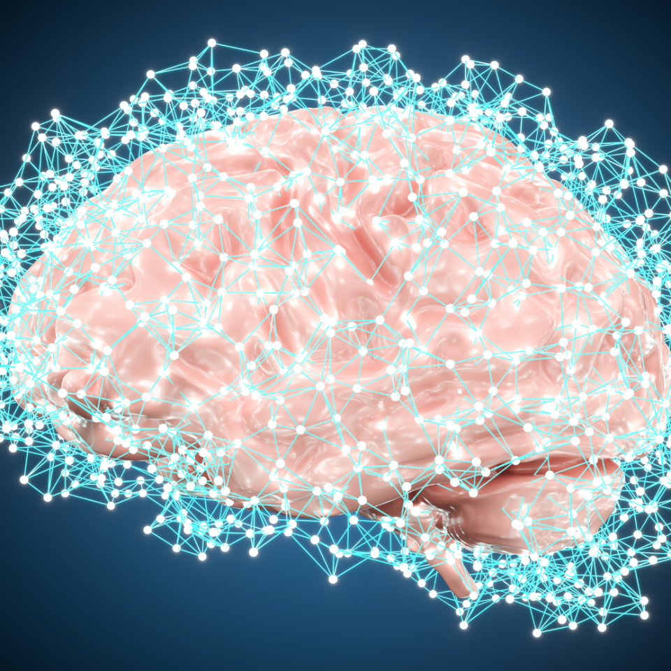 Souveraineté cognitive : du diagnostic aux orientations