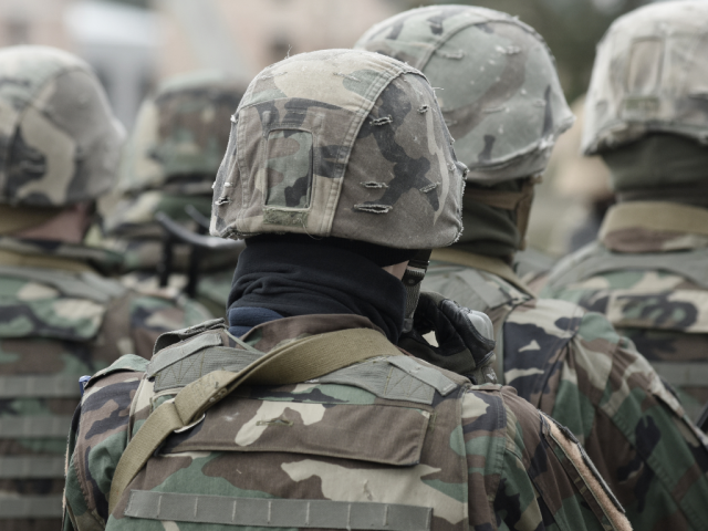 Militaires en action